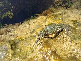 2009-09-10 14-32-19Li